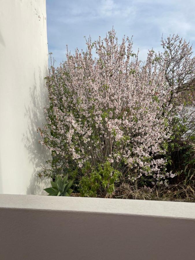 Casa Da Aldeia - Guest House Odiaxere Exterior photo